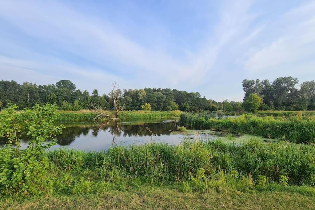 Dom Male Mazury Villa Drozdowo ภายนอก รูปภาพ